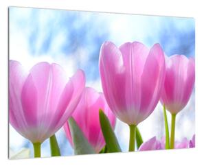 Obraz růžových tulipánů