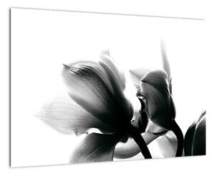 Obraz černobílých květů