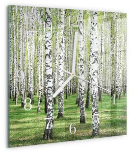 Skleněné hodiny Bříza zskb-30x30-00084614