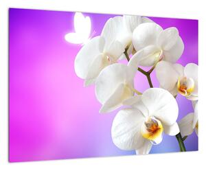 Obraz s orchidejí