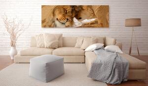 Malvis Lev a lvíče Velikost: 90x30 cm