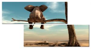 Malvis Zábavný slon Velikost (šířka x výška): 120x60 cm