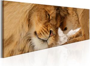 Obraz láska lvů + háčky a hřebíčky ZDARMA Velikost (šířka x výška): 90x30 cm