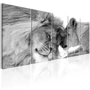 Pětidílný obraz Lvi-černobílý + háčky a hřebíčky ZDARMA Velikost (šířka x výška): 125x50 cm