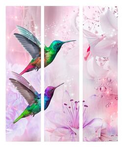 Murando DeLuxe Paraván barevní kolibříci I Velikost: 135x172 cm