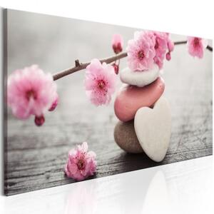 Obraz - Zen: Cherry Blossoms