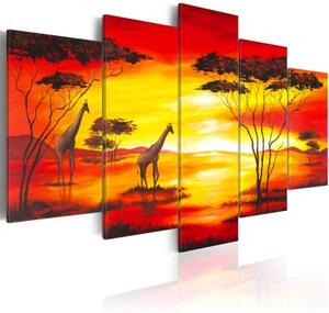 Obraz - Giraffes on the background with sunset