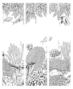 Murando DeLuxe Paraván černobílé akvárium Velikost: 135x172 cm