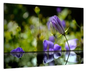 Modrá květina - obraz