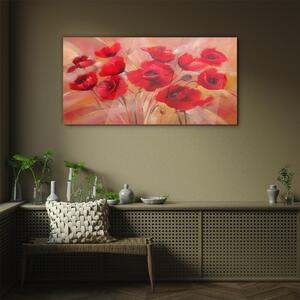 Obraz na skle Obraz na skle Červené květy mák