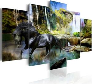 Obraz - Black horse on the background of paradise waterfall
