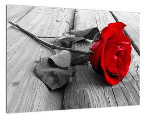 Růže červená - obraz