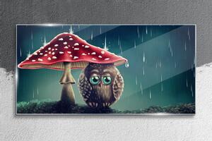 Obraz na skle Obraz na skle Moderní houba pták