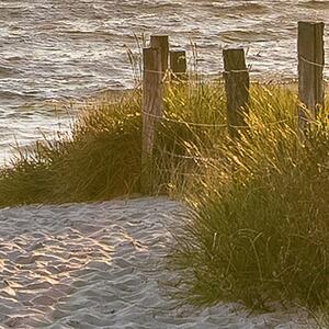 Malvis ® Fototapeta Západ slunce pláž Vel. (šířka x výška): 144 x 105 cm