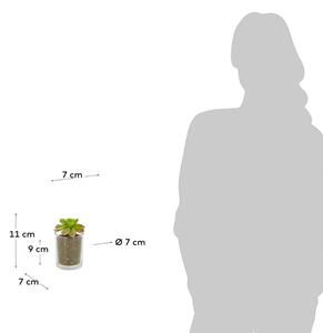 OnaDnes -20% Umělá květina Kave Home Aeonio 11 cm