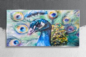 Obraz na skle Obraz na skle Malování zvířecí pták páv