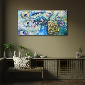 Obraz na skle Obraz na skle Malování zvířecí pták páv