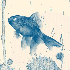 Malvis ® Tapeta modré rybky Vel. (šířka x výška): 144 x 105 cm