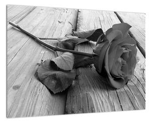 Obraz černobílé růže