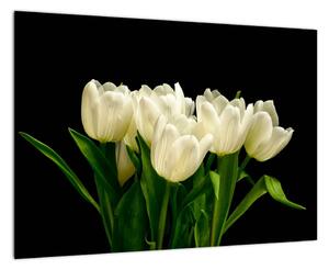 Bílé tulipány - obraz