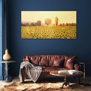 Obraz na skle Obraz na skle Květiny slunečnic stromů