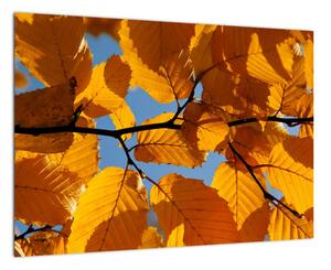 Podzimní listí - obraz