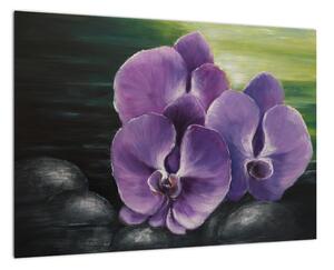 Obraz květů orchideje