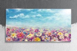 Obraz na skle Obraz na skle Květiny louka obloha