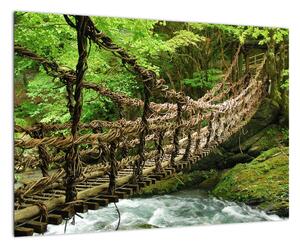 Obraz - most v přírodě
