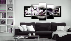 Obraz - Orchids on a black background