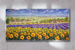 Obraz na skle Obraz na skle Květiny venkov