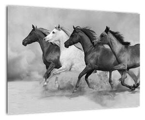 Obraz cválajících koňů