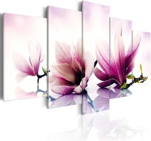 Obraz - Pink flowers: magnolias