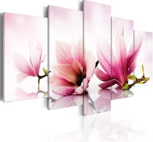 Obraz - Magnolias: pink flowers
