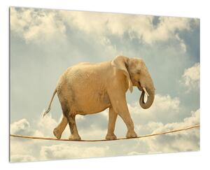 Slon na laně, obraz