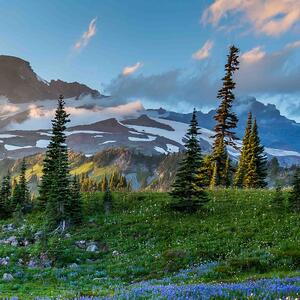 Malvis ® Tapeta Národní park Mount Rainier Vel. (šířka x výška): 144 x 105 cm