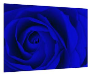 Detail modré růže - obraz