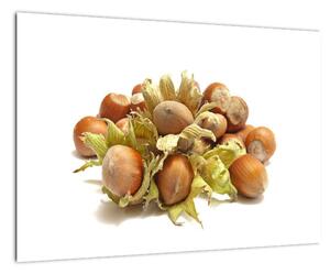 Lískové ořechy - obrazy