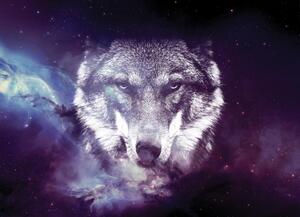 Malvis ® Tapeta vesmírný vlk Vel. (šířka x výška): 144 x 105 cm