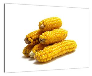 Kukuřice, obraz