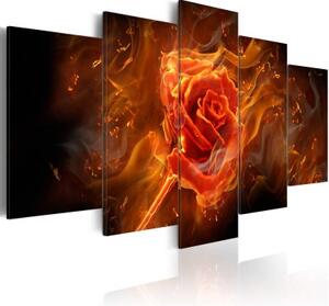 Obraz - Flaming Rose
