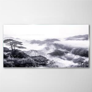 Obraz na skle Obraz na skle Mountain Forest Fog