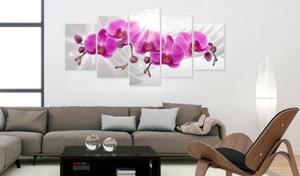 Obraz - Abstract Garden: Pink Orchids