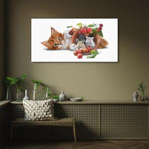 Obraz na skle Obraz na skle Obrázek skleněné zvířata kočka krysí ovoce