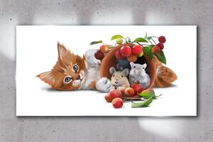 Obraz na skle Obraz na skle Obrázek skleněné zvířata kočka krysí ovoce