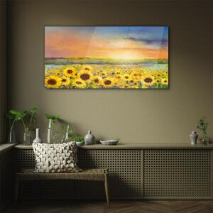 Obraz na skle Obraz na skle Květiny pole slunečnic