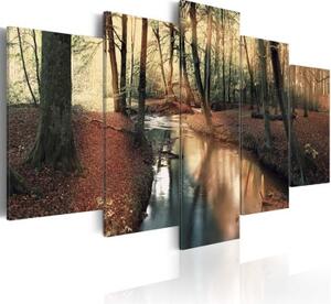 Obraz - Brown autumn: forest