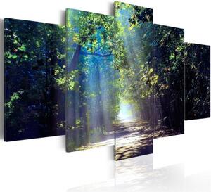Obraz - Sunny Forest Path