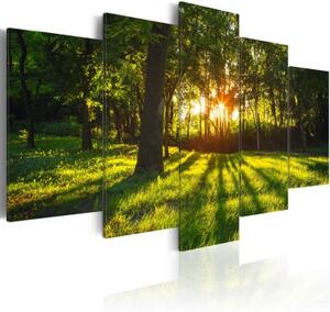 Obraz - The forest reflection