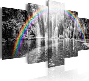 Obraz - Rainbow on grays
